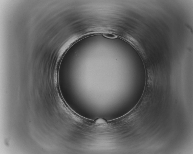 X0000102301188200808011533