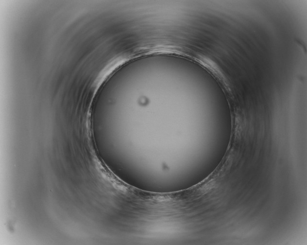 X0000102301190200808011532