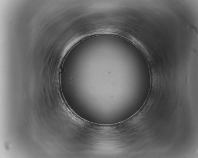 X0000102301192200808011532