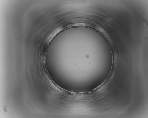 X0000102301193200808011532