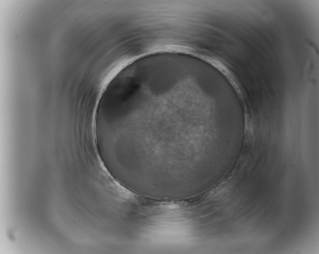 X0000102301199200808011532