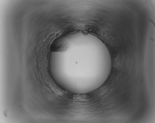 X0000102301201200808011532