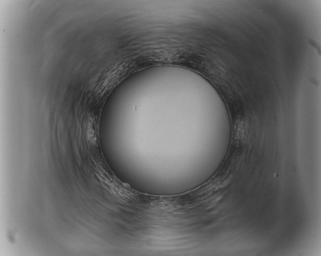 X0000102301202200808011532