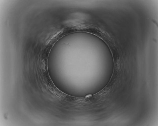 X0000102301205200808011532