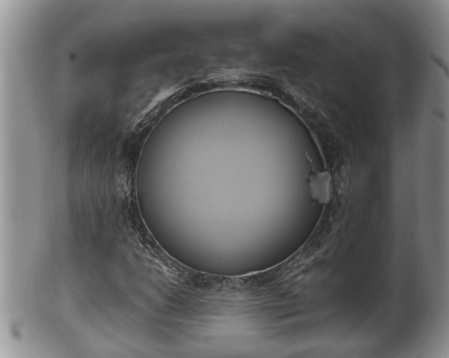 X0000102301206200808011532