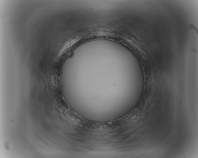 X0000102301207200808011532