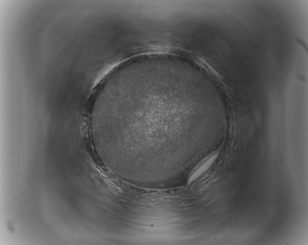 X0000102301208200808011532