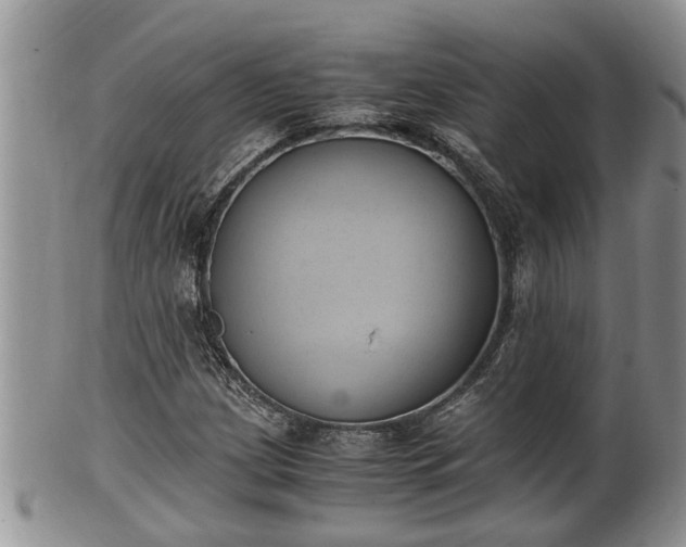 X0000102301209200808011532