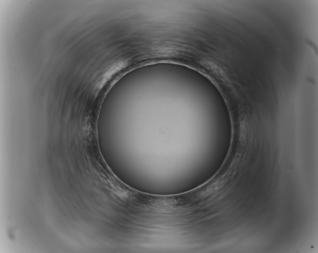 X0000102301210200808011532