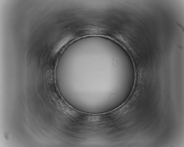 X0000102301211200808011532