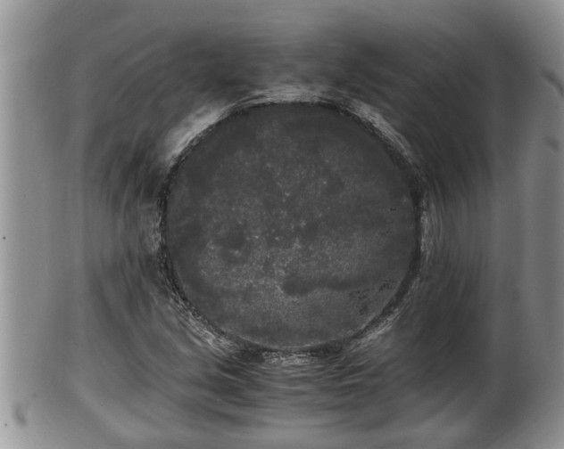 X0000102301213200808011532