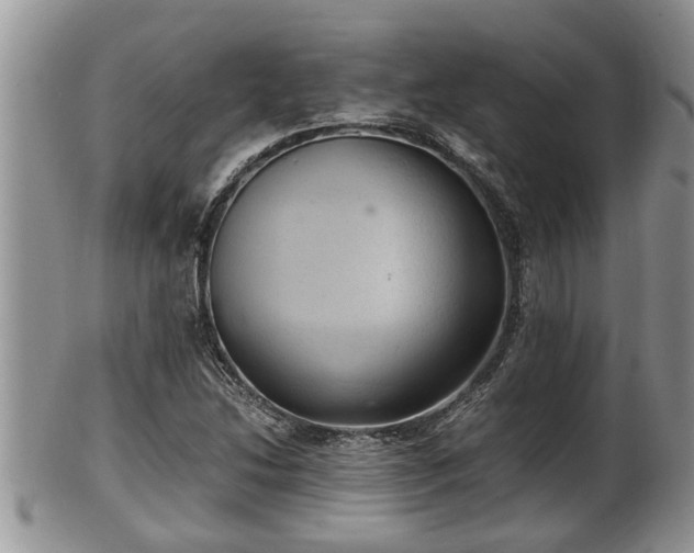 X0000102301214200808011532