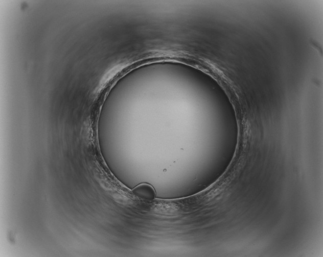 X0000102301215200808011532