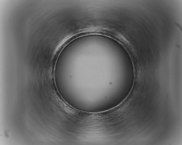 X0000102301216200808011532