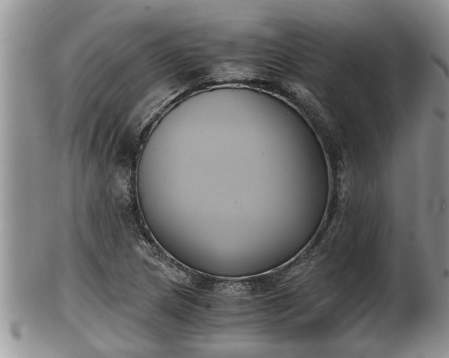 X0000102301217200808011532