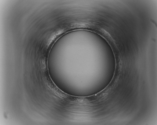 X0000102301218200808011532