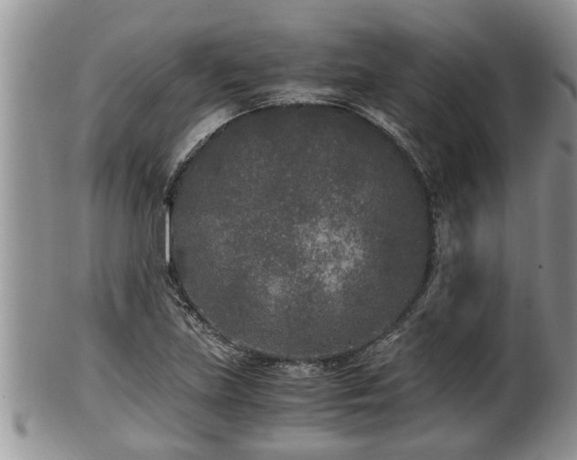 X0000102301219200808011532