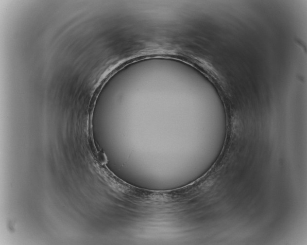 X0000102301220200808011532