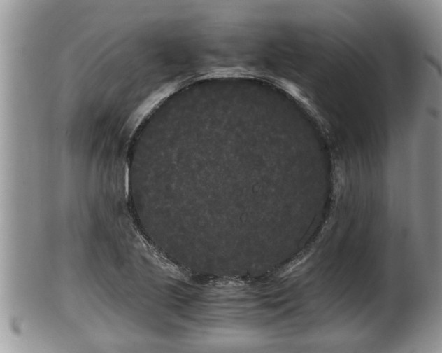 X0000102301221200808011532