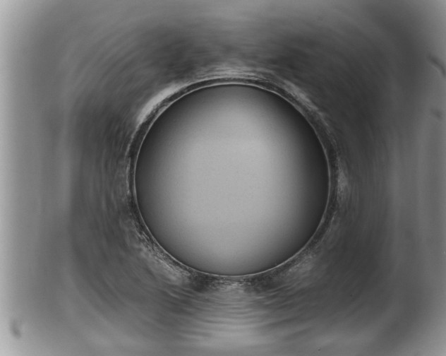 X0000102301222200808011532