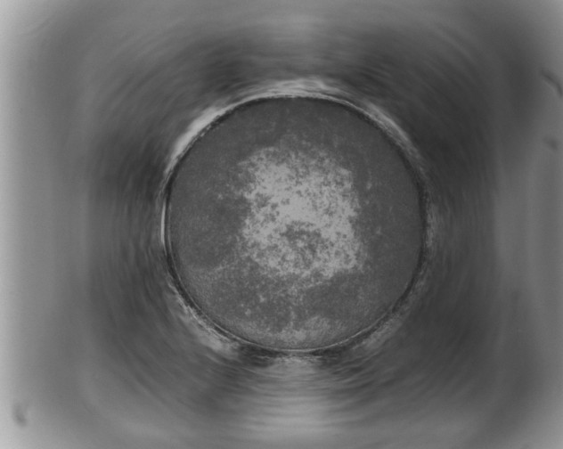 X0000102301224200808011532