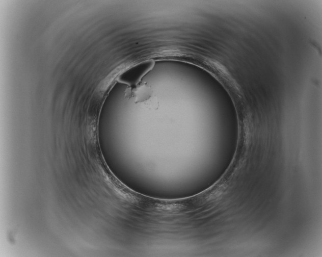 X0000102301225200808011532