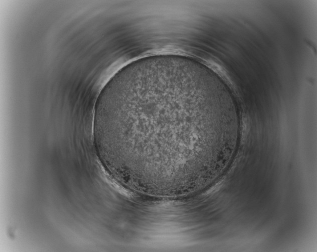 X0000102301228200808011532