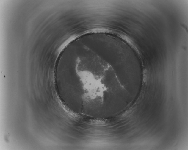 X0000102301229200808011532