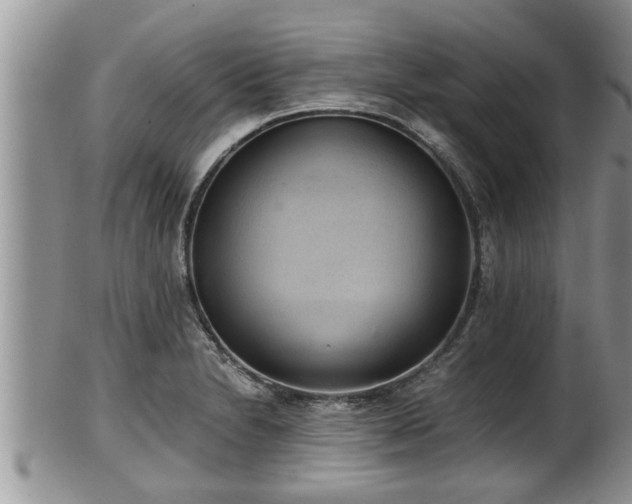 X0000102301230200808011532