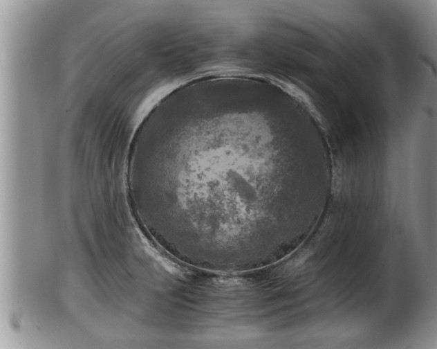 X0000102301231200808011532