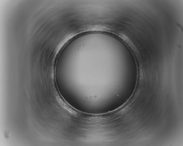 X0000102301232200808011532