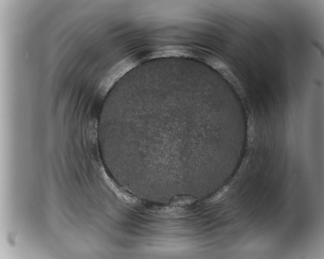 X0000102301233200808011532