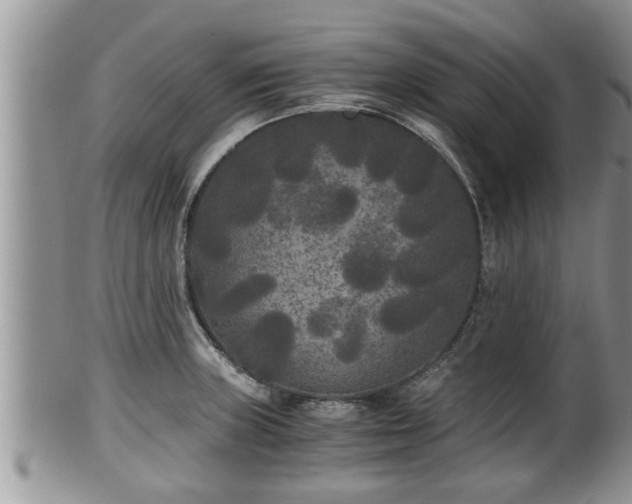 X0000102301235200808011532