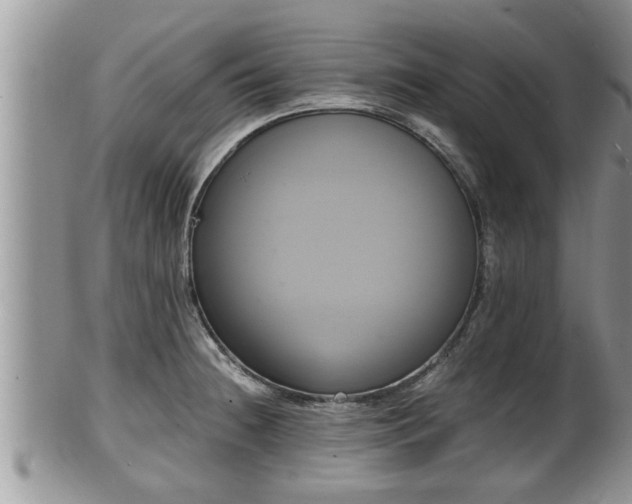 X0000102301236200808011532