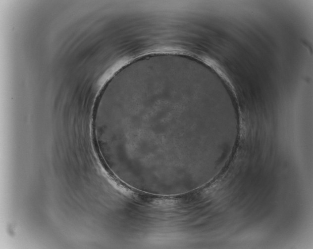 X0000102301237200808011532