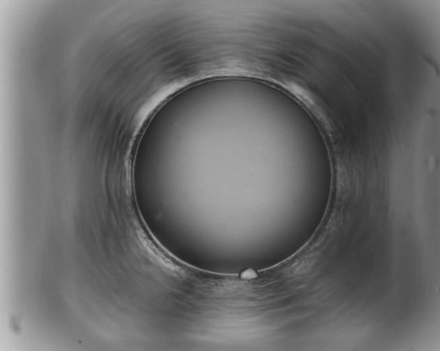 X0000102301238200808011532