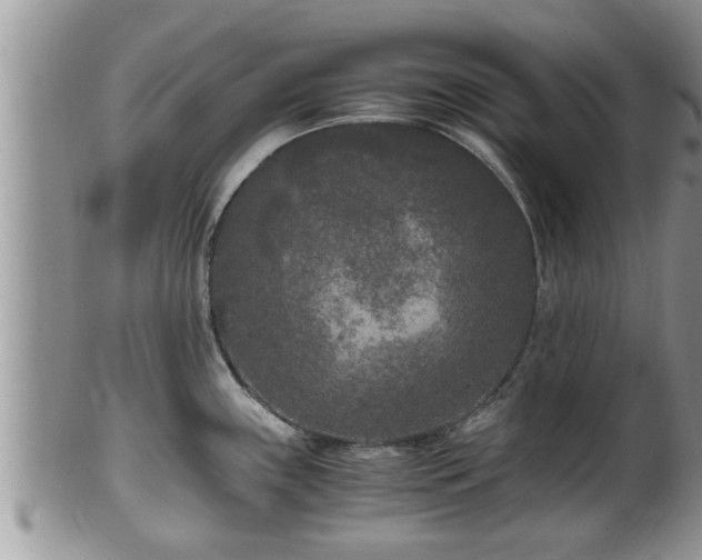 X0000102301243200808011532