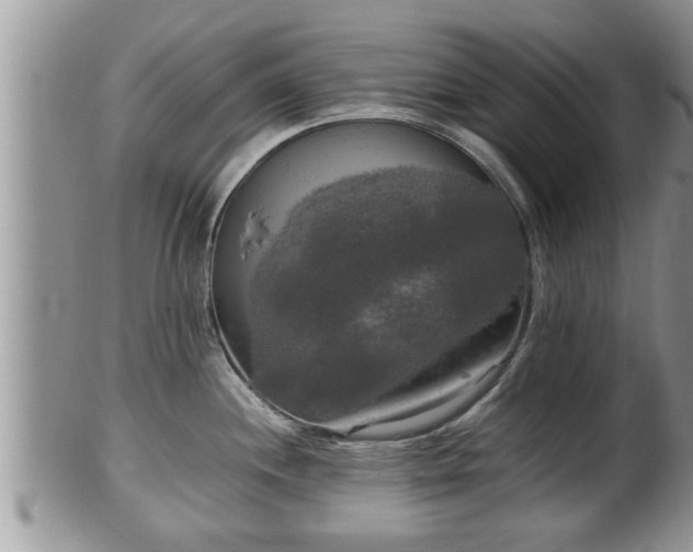 X0000102301244200808011532