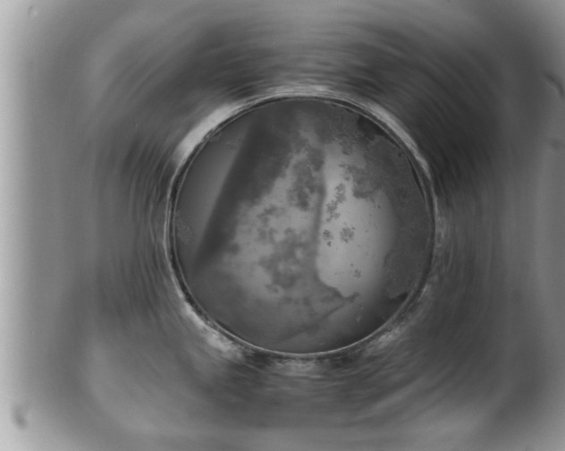 X0000102301245200808011532