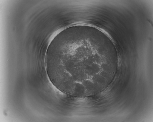 X0000102301247200808011532