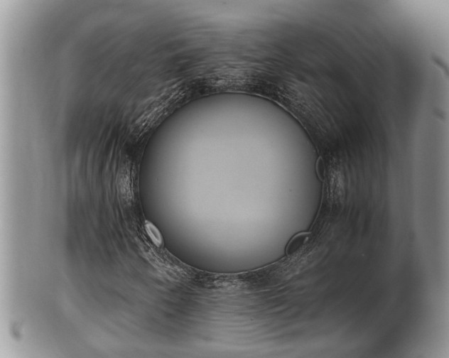 X0000102301250200808011532