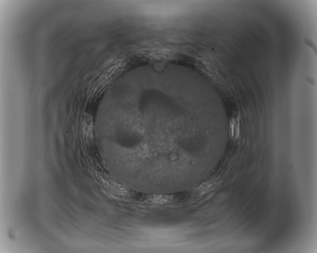 X0000102301251200808011532