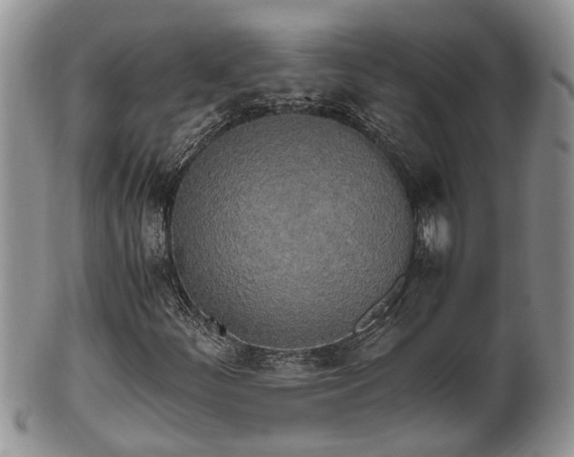 X0000102301252200808011532