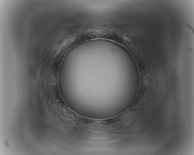 X0000102301253200808011532