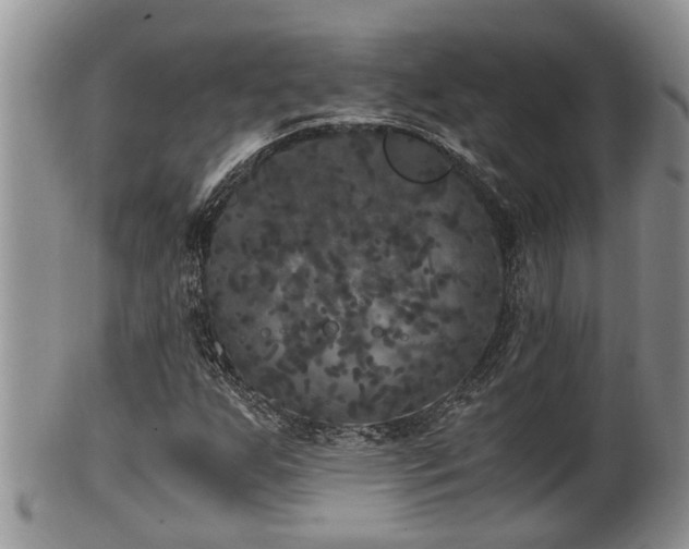 X0000102301255200808011532