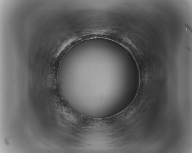 X0000102301256200808011532