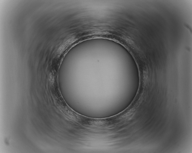 X0000102301257200808011532