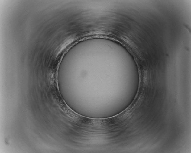 X0000102301258200808011532