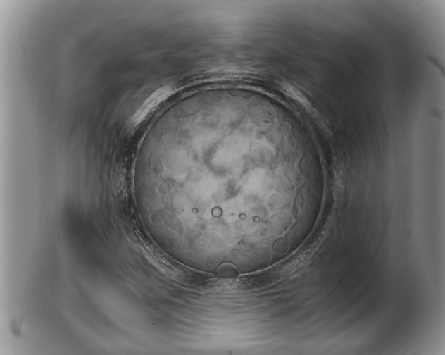 X0000102301259200808011532