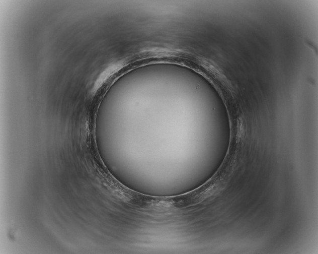 X0000102301261200808011532